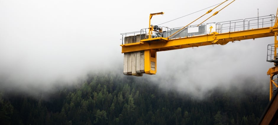 Construction industry pursues net-zero targets while overlooking existing natural carbon stores