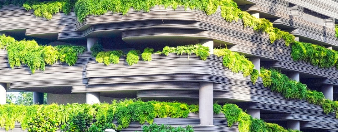 Sustainable development delivers commercial advantage for builders and developers