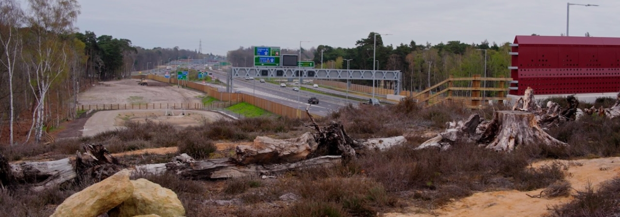UK's first heathland green bridge now operational